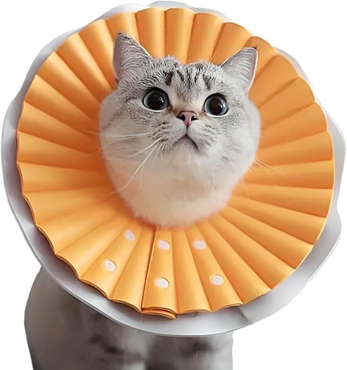 AQPET - Collare Elisabettiano Morbido per Gatti, taglia media da 2-4kg Plastica Leggera e Flessibile, Regolabile