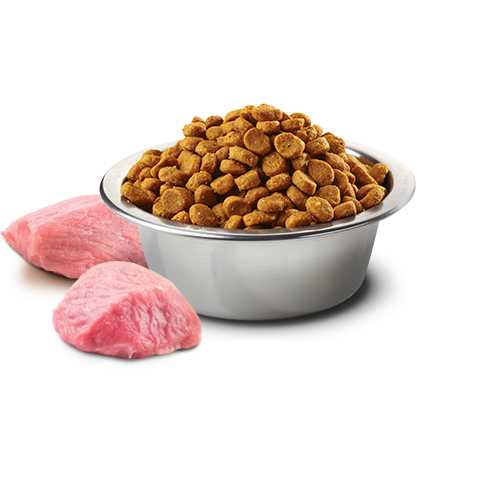 Farmina - N&D Pumpkin Per Cani Pollo & Melograno Adult MD/LG 2,5 Kg