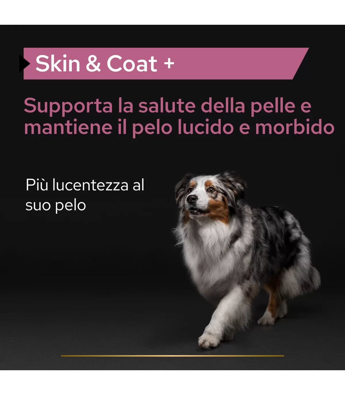 Proplan supplements skin & coat cane 250 ml