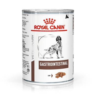 ROYAL CANIN Veterinary Diet Dog Gastrointestinal umido 200 g