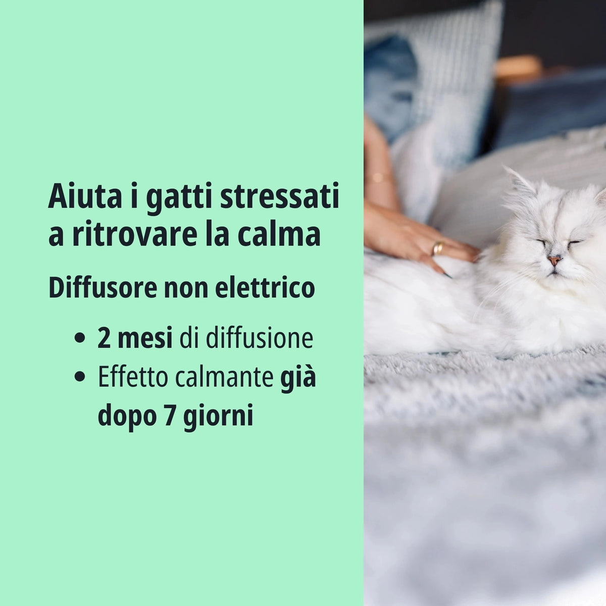 Virbac ZENIFEL Diffusore in Gel  con Feromoni Calmanti per Gatti 230gr