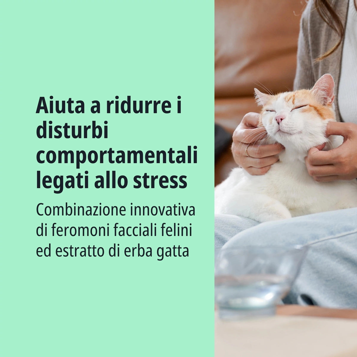 Virbac Zenifel Spray calmante per la gestione dello stress nel gatto 60 ml