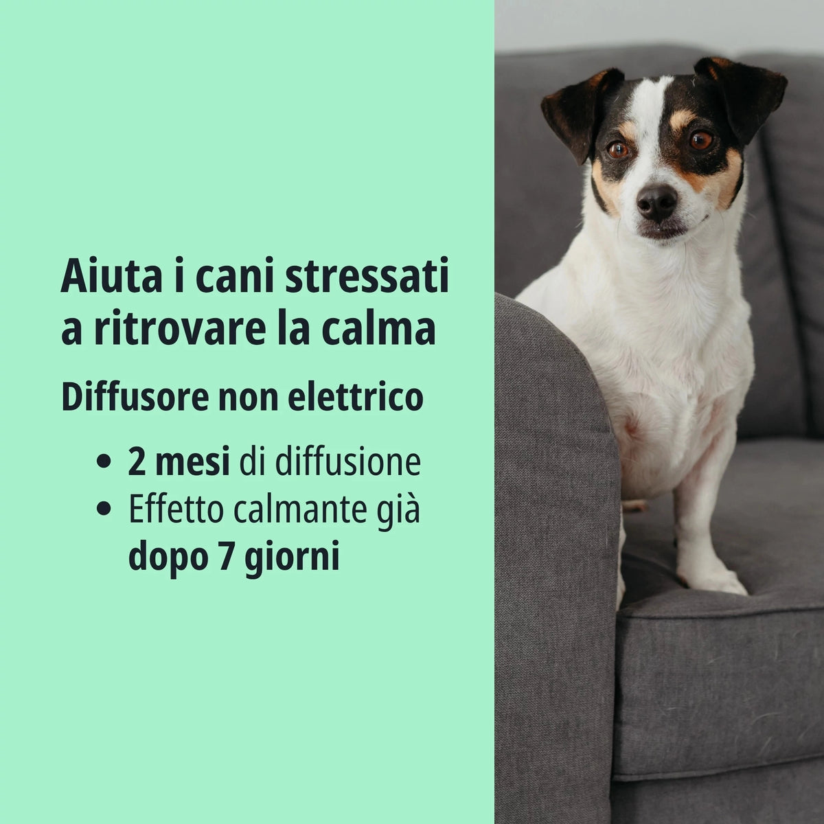 Virbac ZENIDOG Diffusore in Gel con Feromoni Calmanti per Cani 230gr 2Mesi