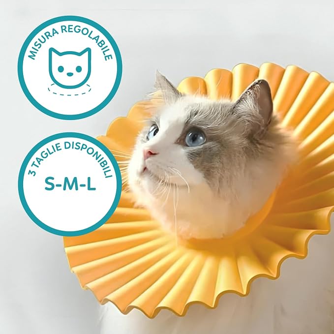 AQPET - Collare Elisabettiano Morbido per Gatti, taglia media  da 2-4kg Plastica Leggera e Flessibile, Regolabile