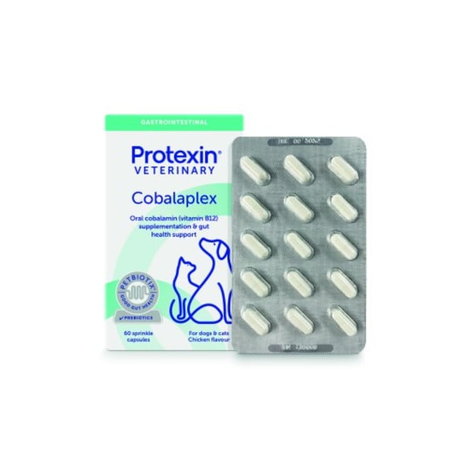 ECUPHAR Cobalaplex cane e gatto, 60 CPS