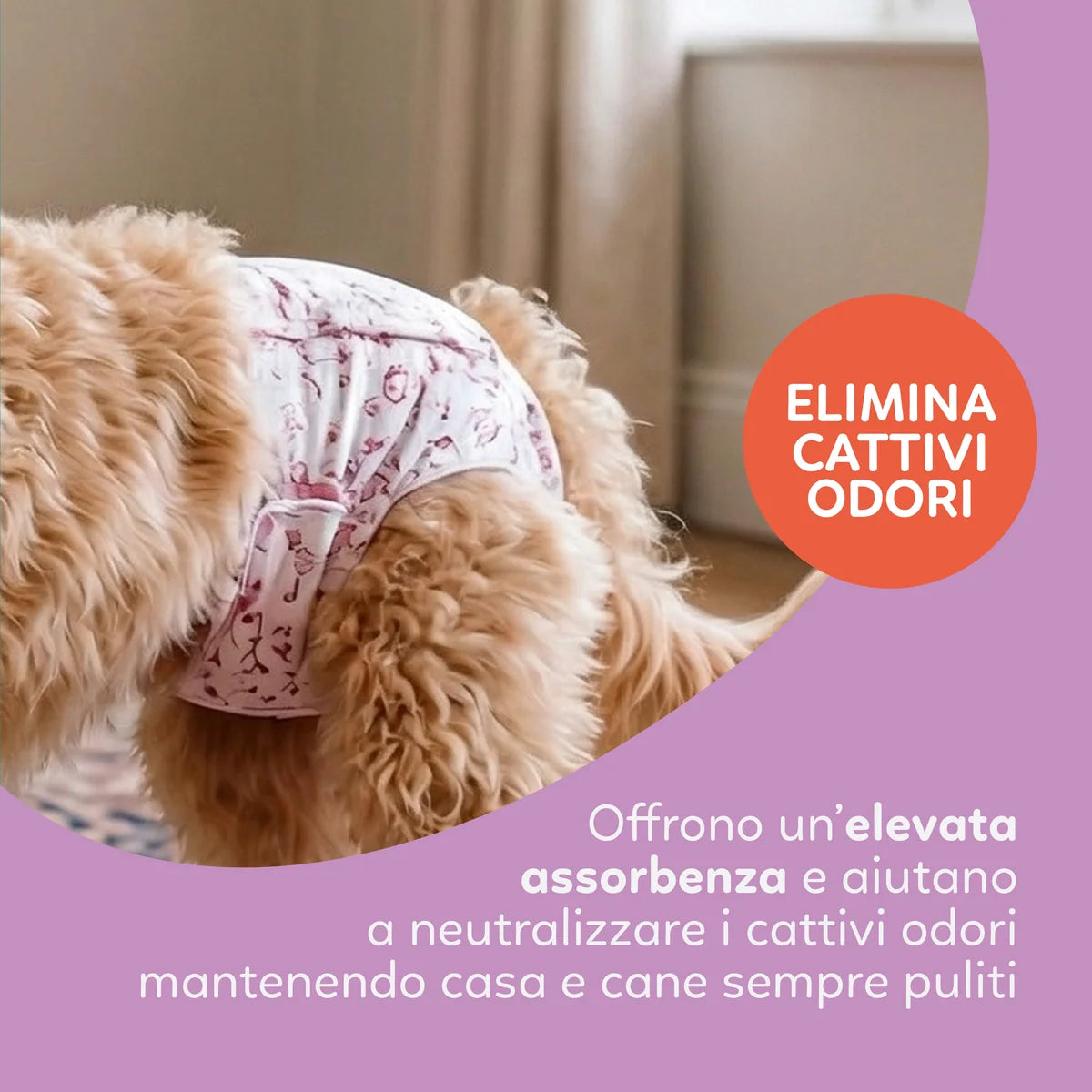AQPET - Slips Pannolini Nappy Fascia Femm SMALL 30 pz