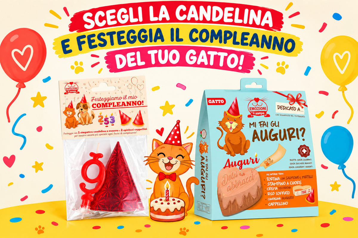 Festeggiamo Insieme Con Candelina, Cappellini e Tortina al Salmone da Personalizzare per il tuo Gatto