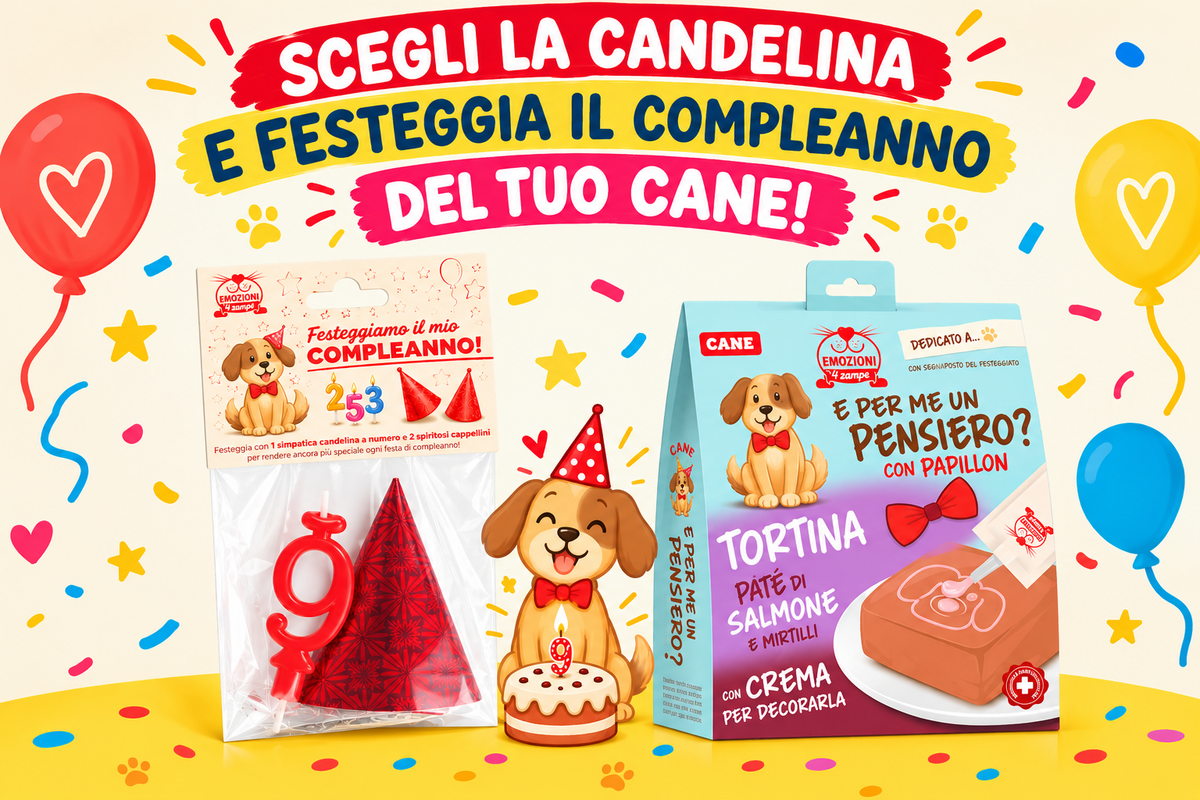 Festeggiamo Insieme Con Candelina, Cappellini e Tortina al Salmone da Personalizzare per il tuo Cane