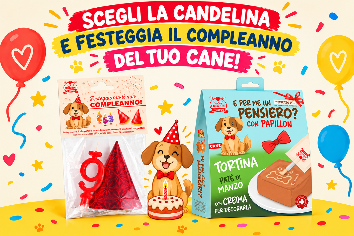 Festeggiamo Insieme Con Candelina, Cappellini e Tortina al Manzo da Personalizzare per il tuo Cane