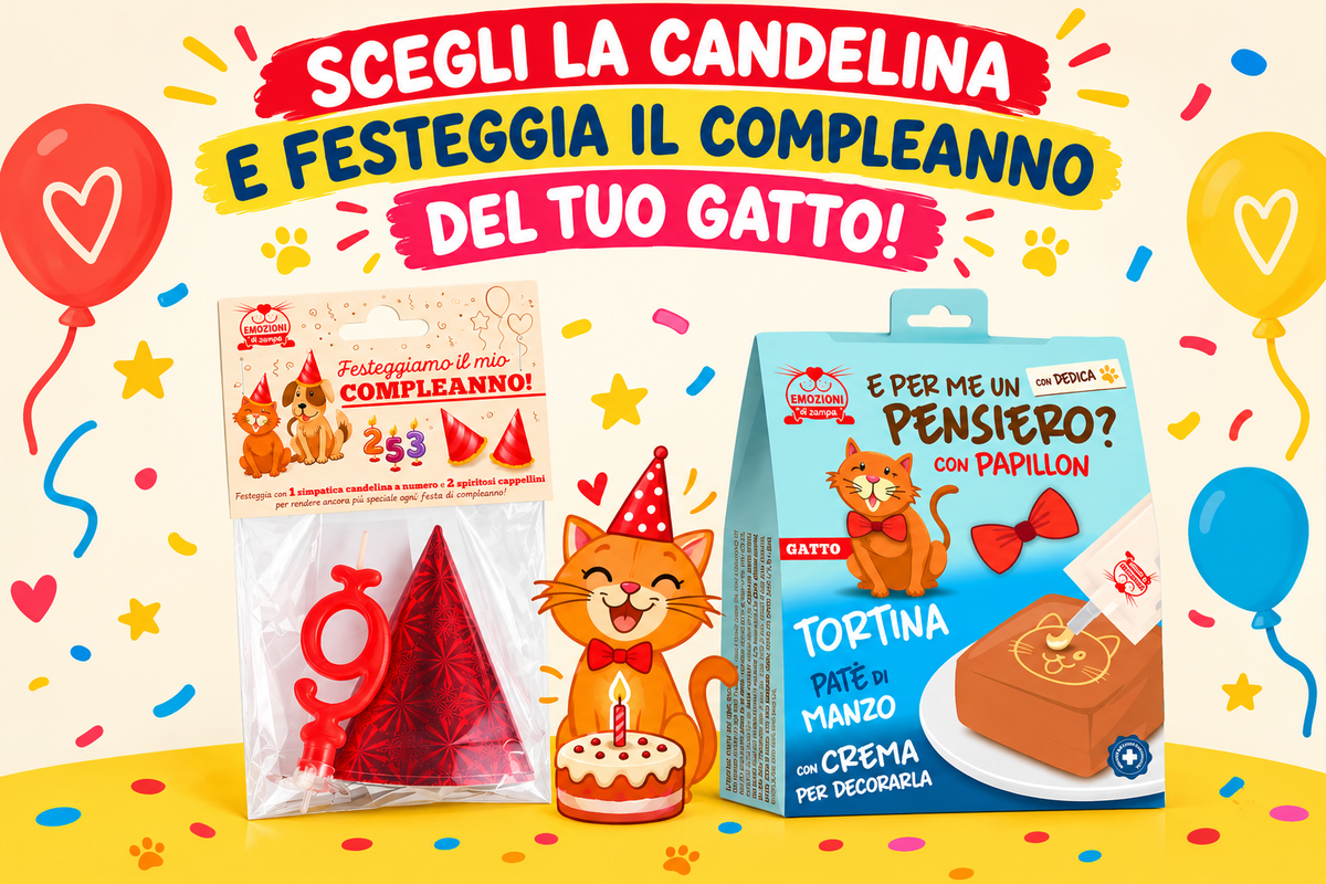 Festeggiamo Insieme Con Candelina, Cappellini e Tortina al Manzo da Personalizzare per il tuo Gatto