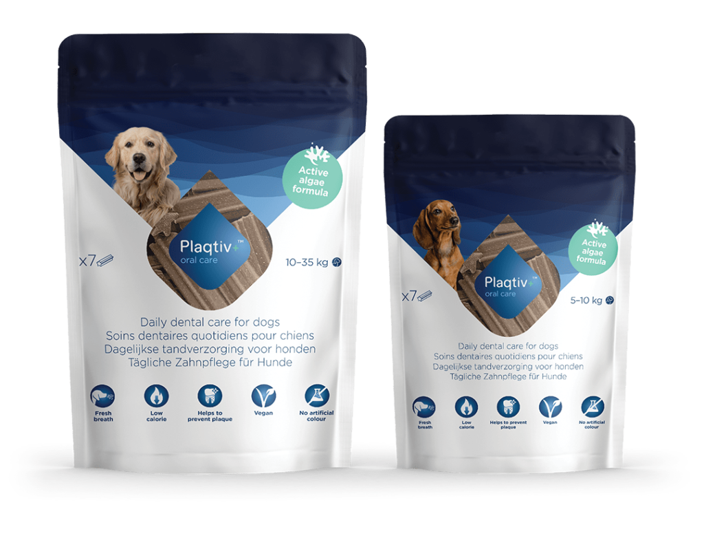 ECUPHAR Plaqtiv + stick cani taglia L - M 7 pezzi