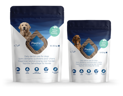 ECUPHAR Plaqtiv + stick cani taglia L - M 7 pezzi