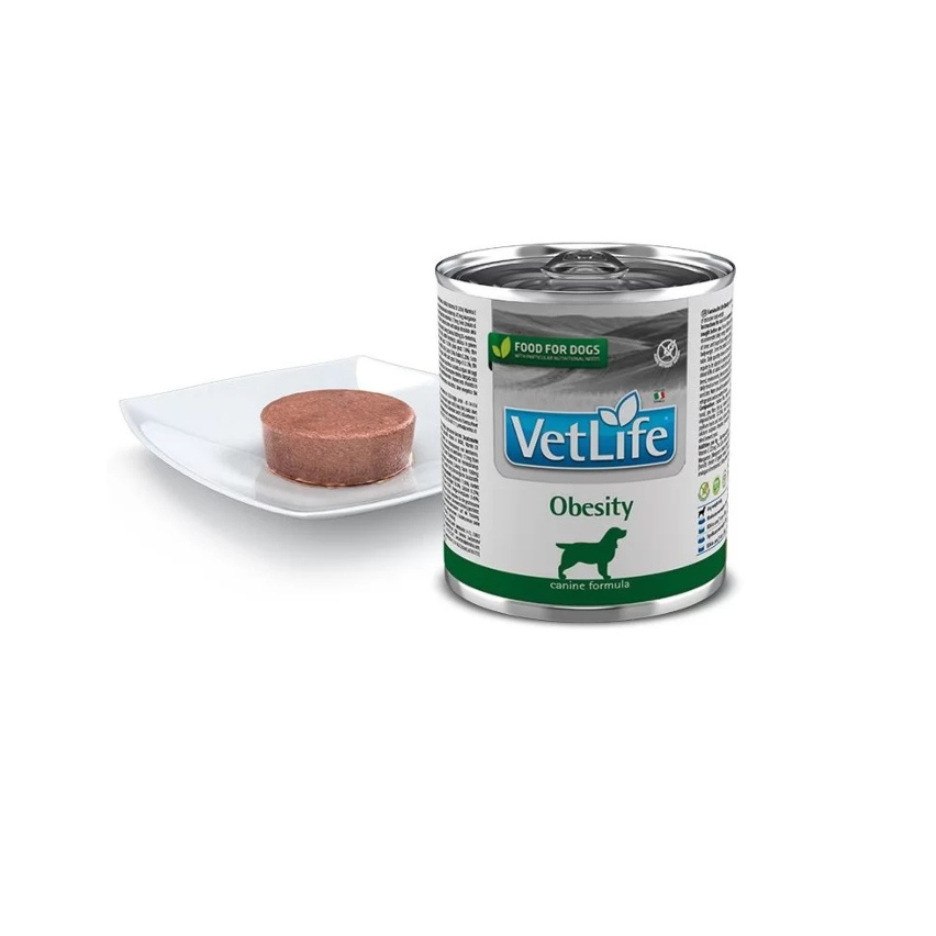 Farmina - Vet Life Natural Diet Per Cani Obesity 300 Gr