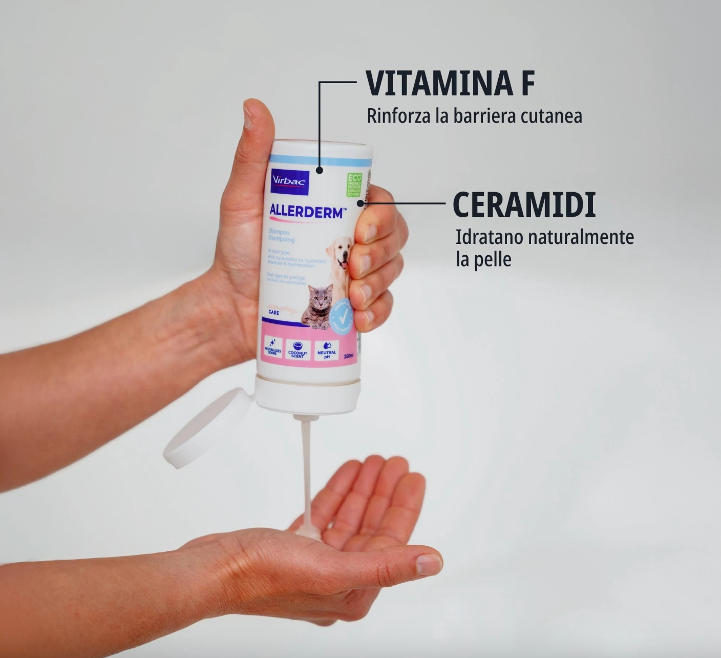 Virbac - Per Gatti Allerderm Normal Skin 250 ml