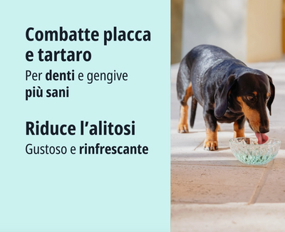 Virbac - Cane e Gatto Vet Aquadent Fresh 250 Ml
