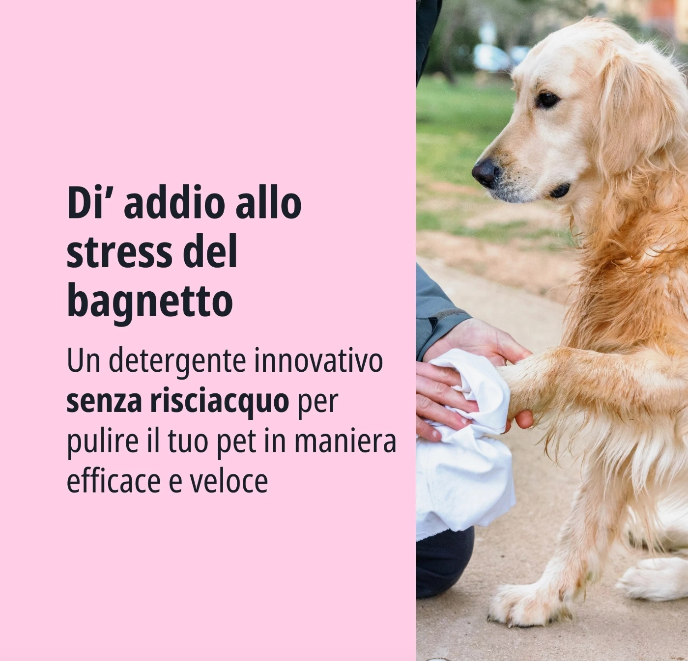 Virbac - Per Cani Allerderm Foam 100 Ml