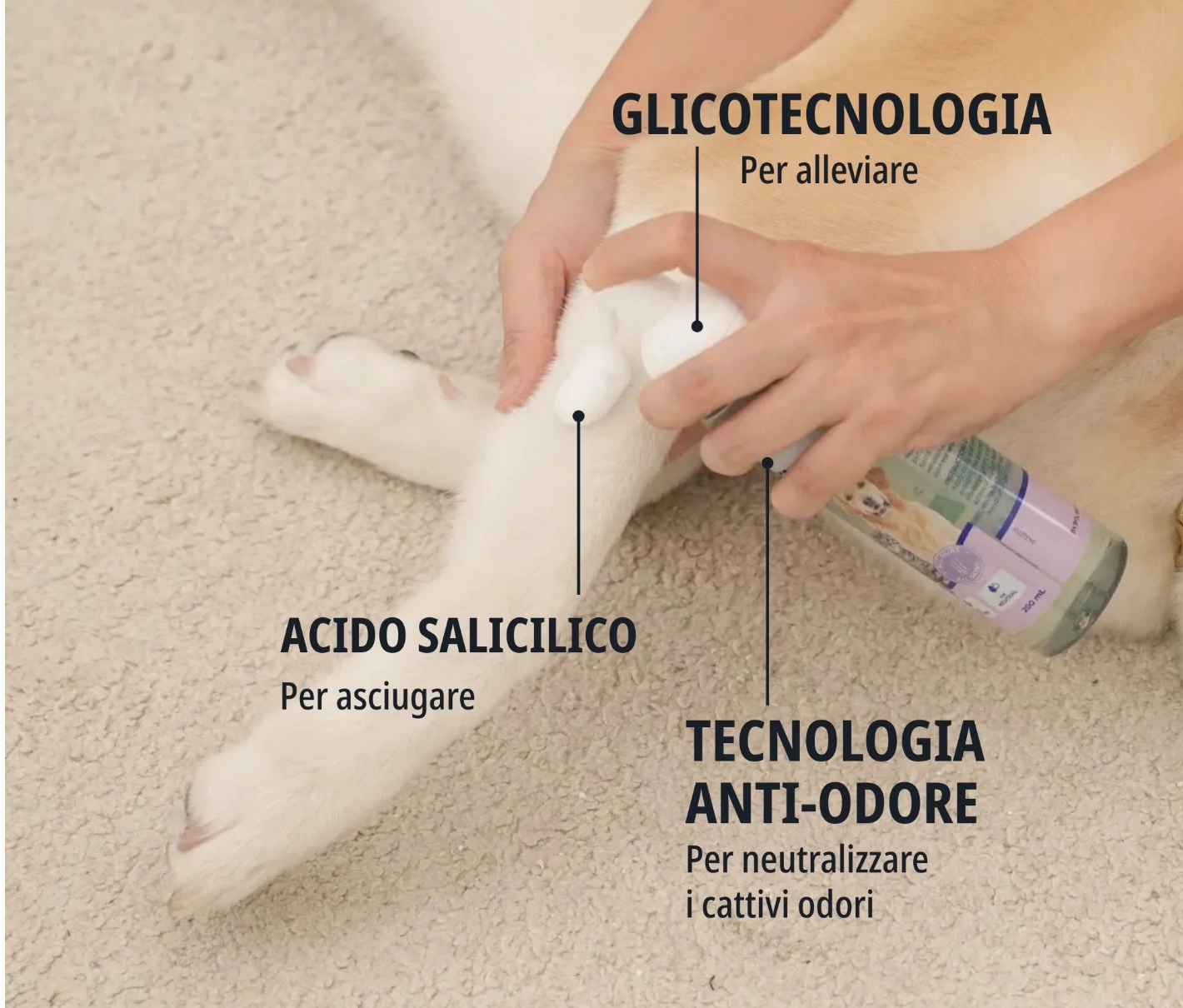 Virbac - Per Cani Allerderm Foam 100 Ml