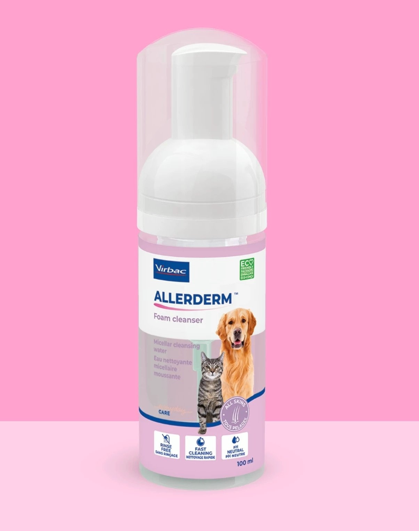 Virbac - Per Cani Allerderm Foam 100 Ml