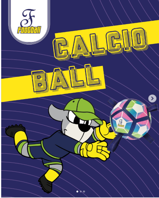Football CALCIOBALL L DIAM. 18,5CM Palla Resistente con Maniglie Facili da Afferrare e Inserti Catarifrangenti