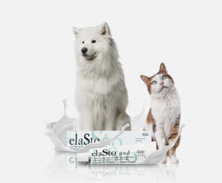Elastopad Pomata 75g  Crema per cani e gatti con filtro solare indicata per il recupero dell'elasticita' cutanea