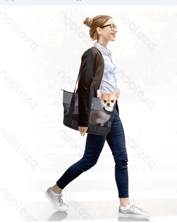 Nobleza Borsa trasportino in rete H25x20x38cm