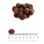 Prolife - Per Cani Grain Free Sensitive Sogliola Fish & Potato M/L 2.5 Kg