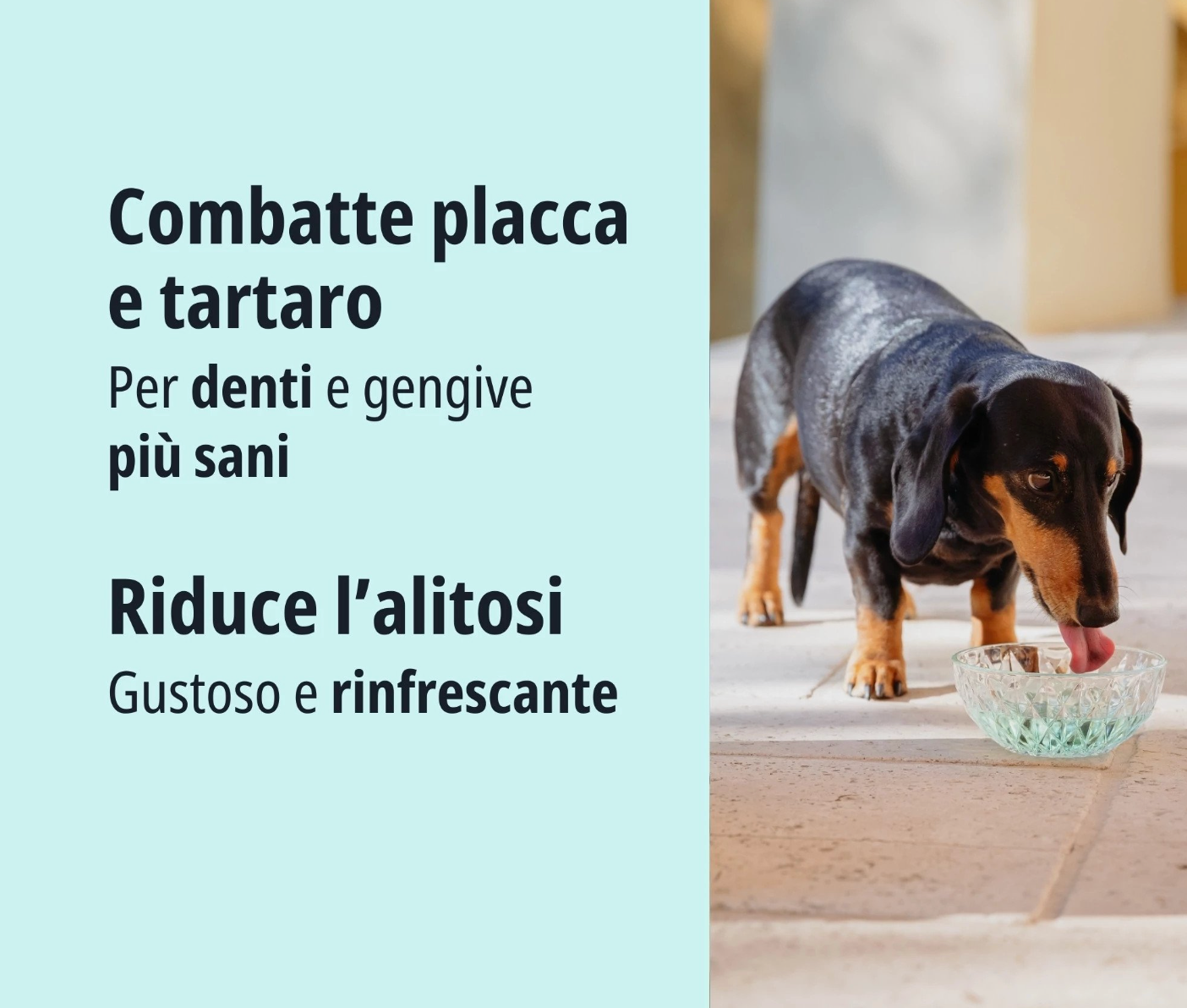 Virbac - Cane e Gatto Vet Aquadent Fresh 500 Ml
