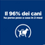 Hil's Pet -  Prescription Diet  Per Cani Metabolic Pollo 10 Kg