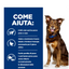 Hil's Pet -  Prescription Diet  Per Cani Metabolic Pollo 10 Kg