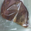 MORDO 100% NATURALE ORECCHIE SUINE GR 40
