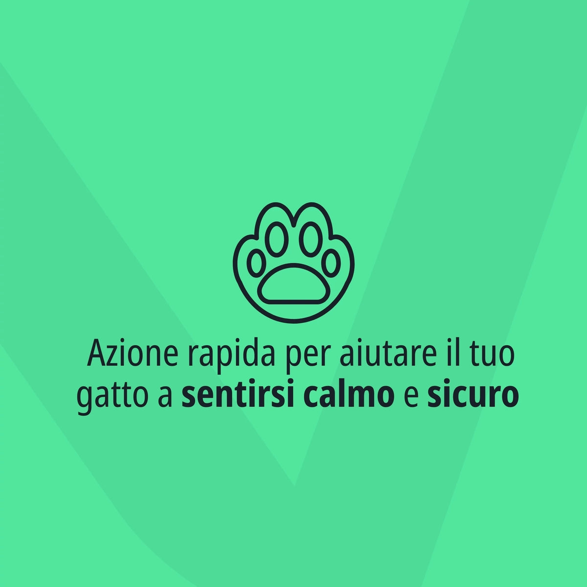Virbac Zenifel Spray calmante per la gestione dello stress nel gatto 60 ml