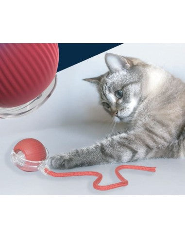 Catch Me - Pallina gioco per gatti con cordino ricaricabile