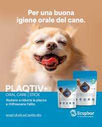 Ecuphar PLAQTIV+ Stick Oral care Stick x7