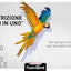 VERSELE LAGA  Nutribird Allround  250 g  NEWPACK