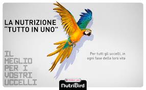 VERSELE LAGA  Nutribird Allround  250 g  NEWPACK