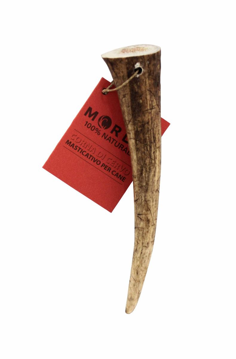 MORDO Corna di Cervo L 151/220 gr