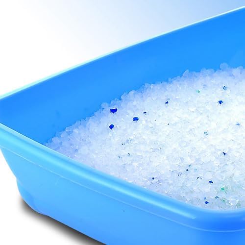 LEV Lettiera Silicia Gel Naturale 5Lx6 - Alta Assorbenza, Controllo Odori, Formula Neutra per Gatti Sensibili