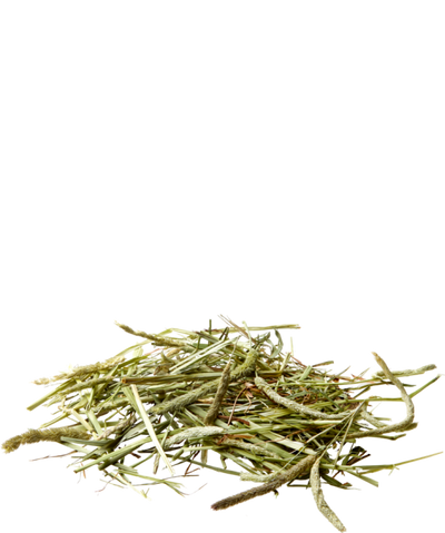 Nature Fieno Timothy Naturale 1kg Versele Laga