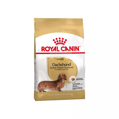 ROYAL CANIN Cane Bassotto Dachshund Adulto da 1,5 Kg