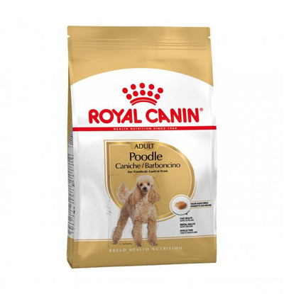 ROYAL CANIN CANE BARBONCINO ADULT DA 1,5 KG