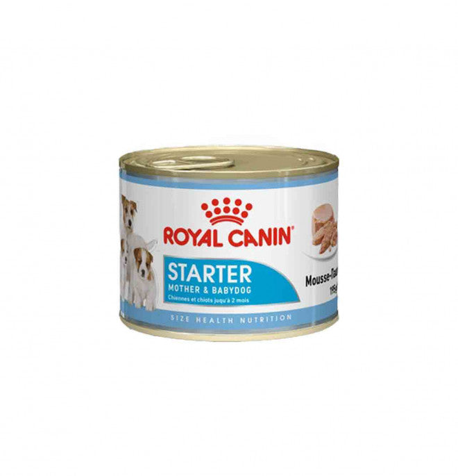 ROYAL CANIN CANE STARTER MOUSSE DA 195 GR IN LATTINA