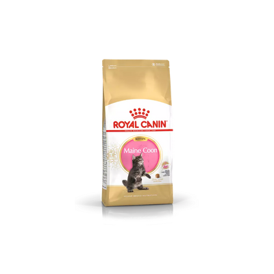 ROYAL CANIN Gatto Norvegese Delle Foreste Adulto da 2 Kg