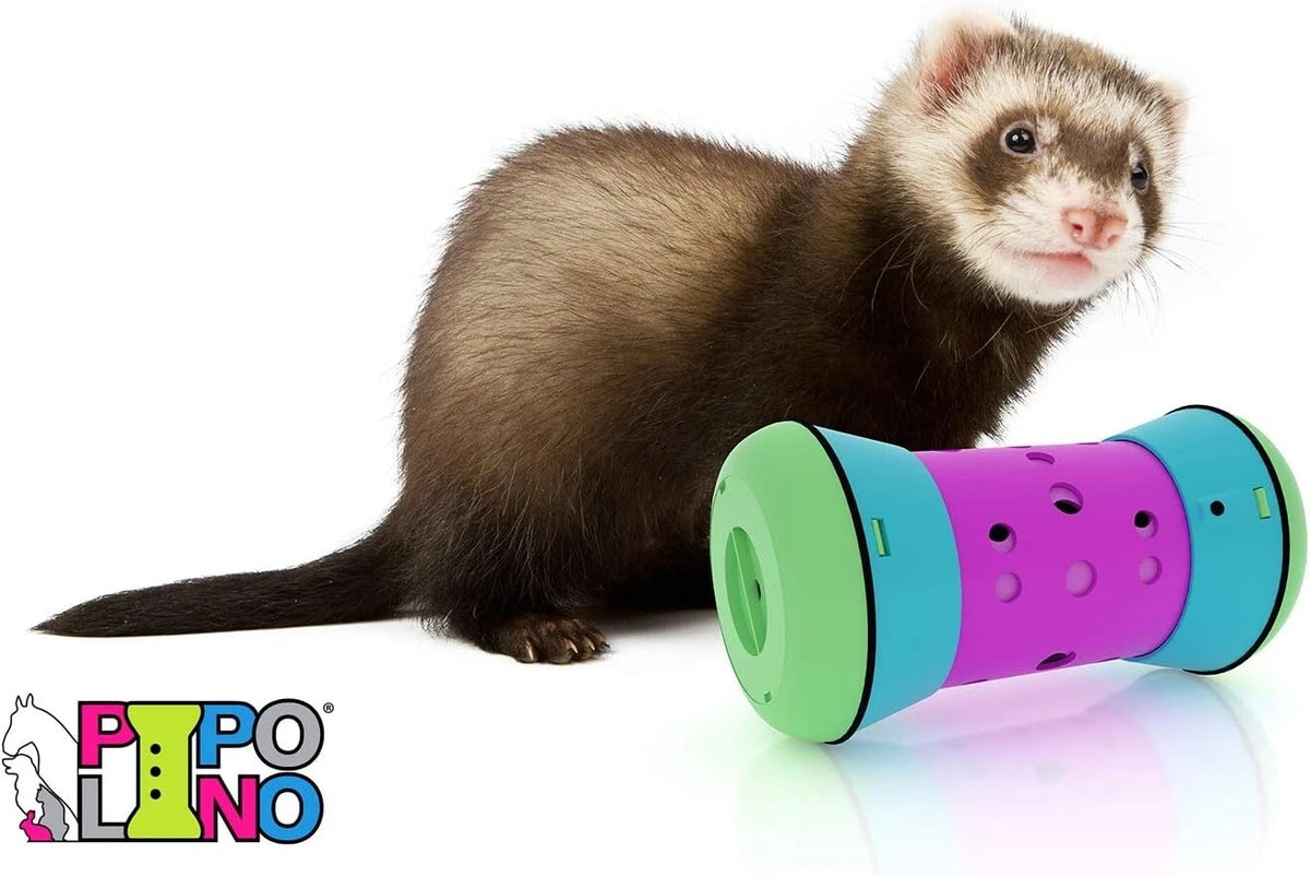 Pipolino Distributore di Crocchette multicolore per animali domestici