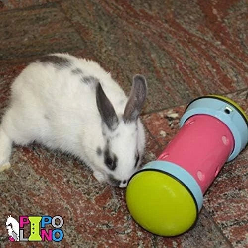 Pipolino Distributore di Crocchette multicolore per animali domestici