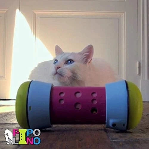 Pipolino Distributore di Crocchette multicolore per animali domestici